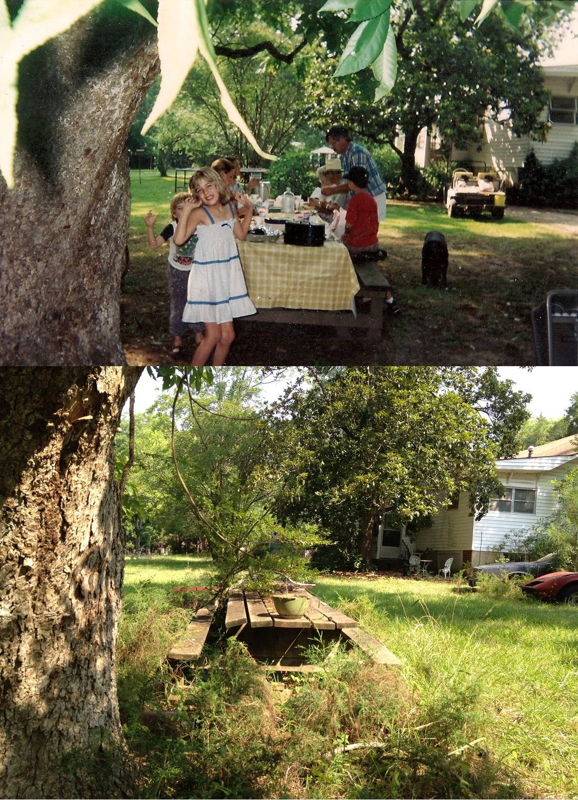 20 Years Later