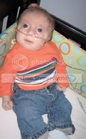 Baby Eliot