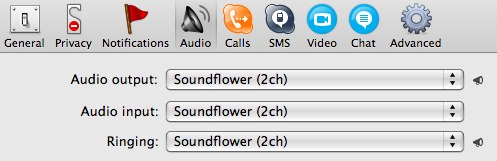 Audio Settings - Skype